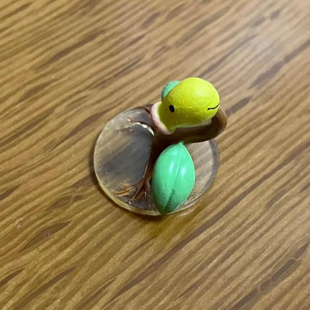 立体ポケモン図鑑　ウツボット　セット