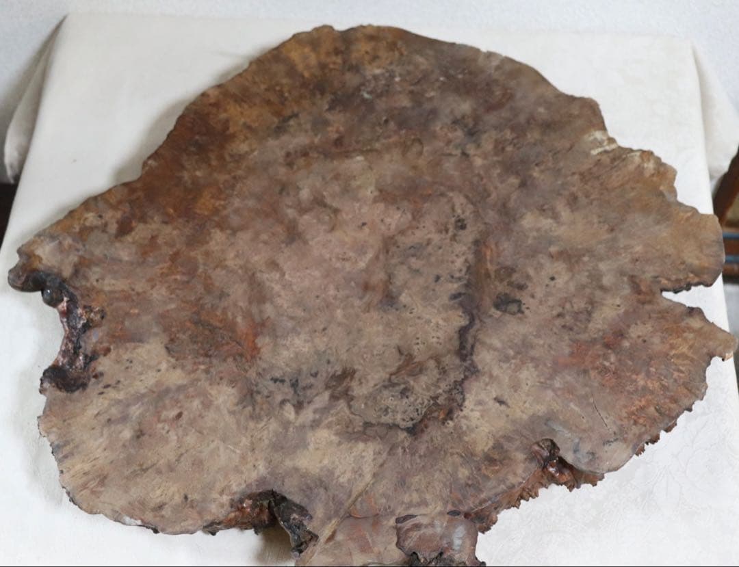 櫻木　茶台　茶道具　厚さ6.9cm 送料込み250612