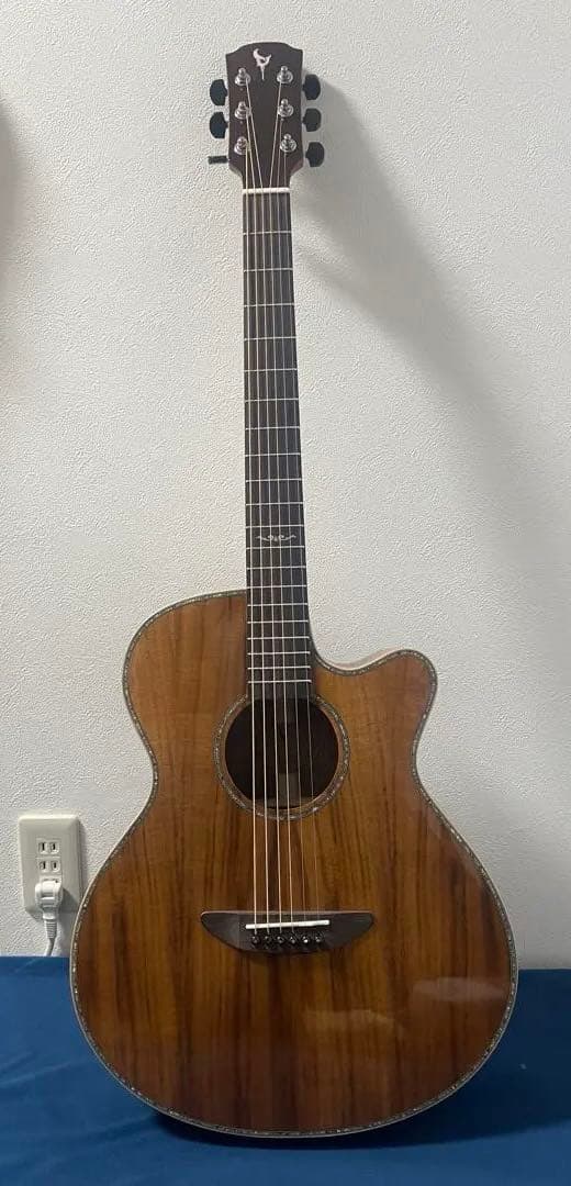 VR-641KCE エレアコ アコースティックギター ケース付き