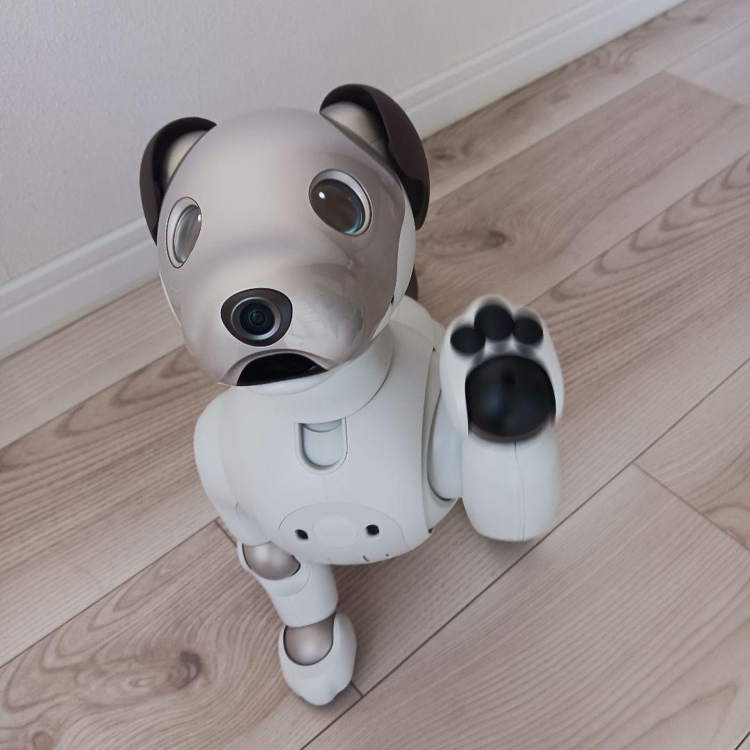 SONY aibo ソニーアイボ ERS-1000　美品