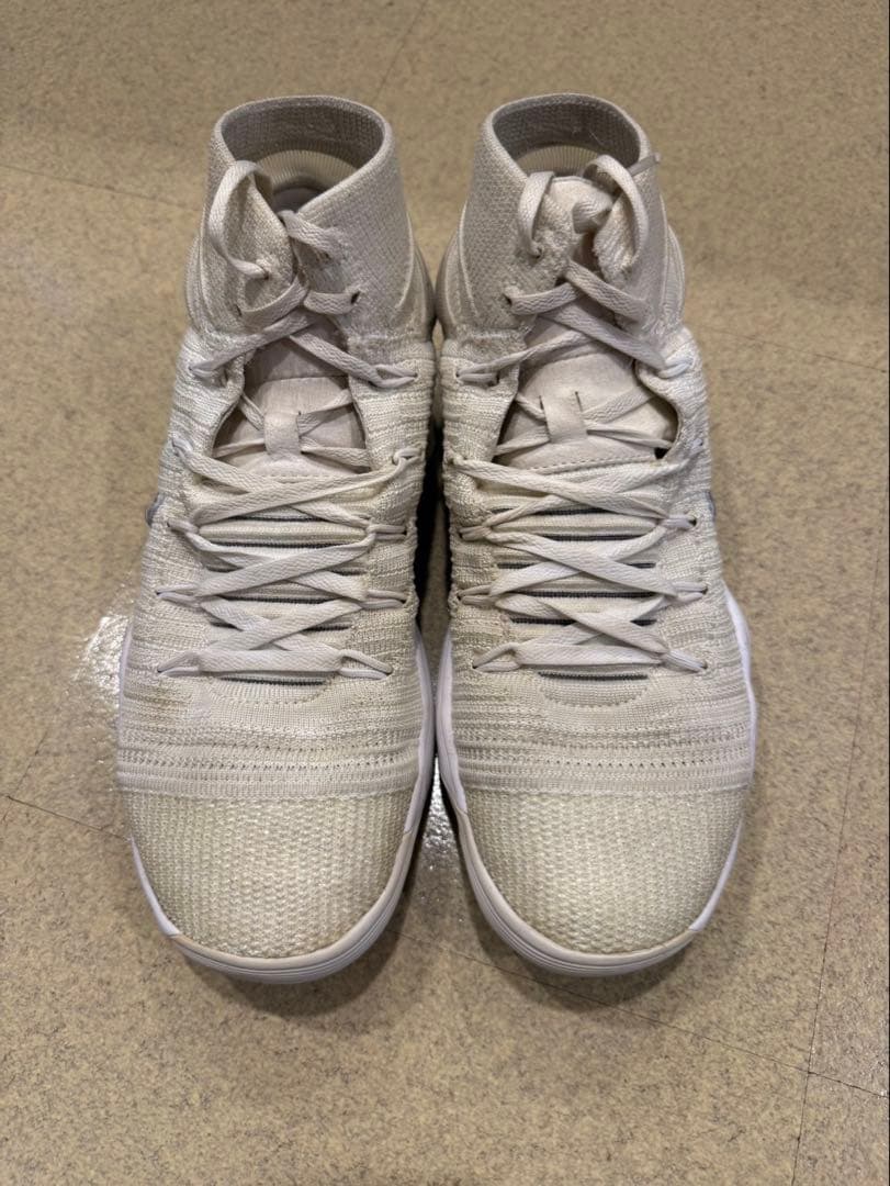 NIKE ナイキ　ハイパーダンク　29cm