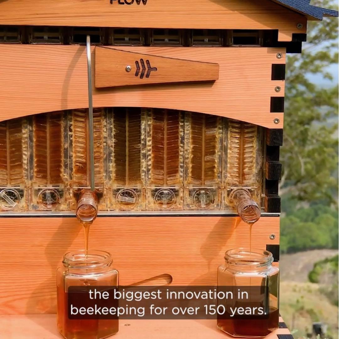 フローハイブ　蜜蜂巣箱 ミツバチ巣箱 蜜蜂飼育箱　ミツバチ飼育箱 ミツバチ養殖
