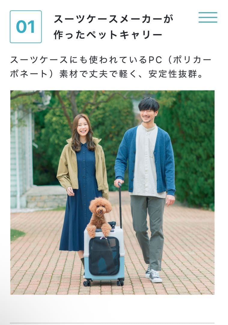 美品　petico ペチコ　犬猫　ペットキャリー　ペットカート　スリング　バッグ