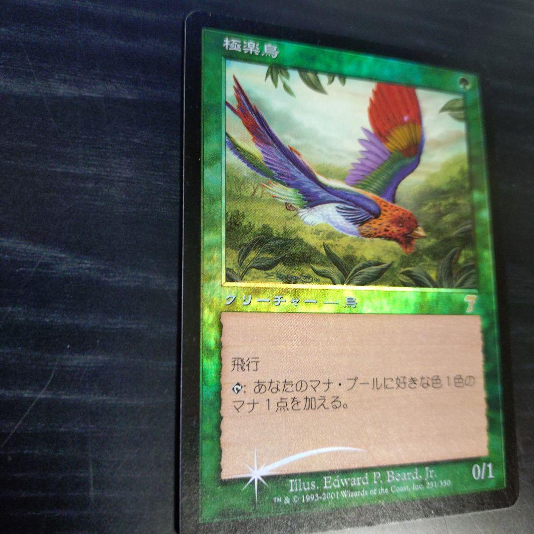 極楽鳥 第七版日本語foil