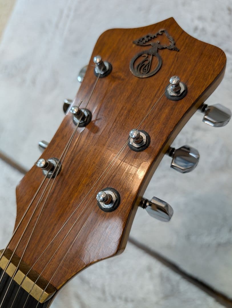 【ジャンク】アレンビック　ALEMBIC MSG　(改造用)