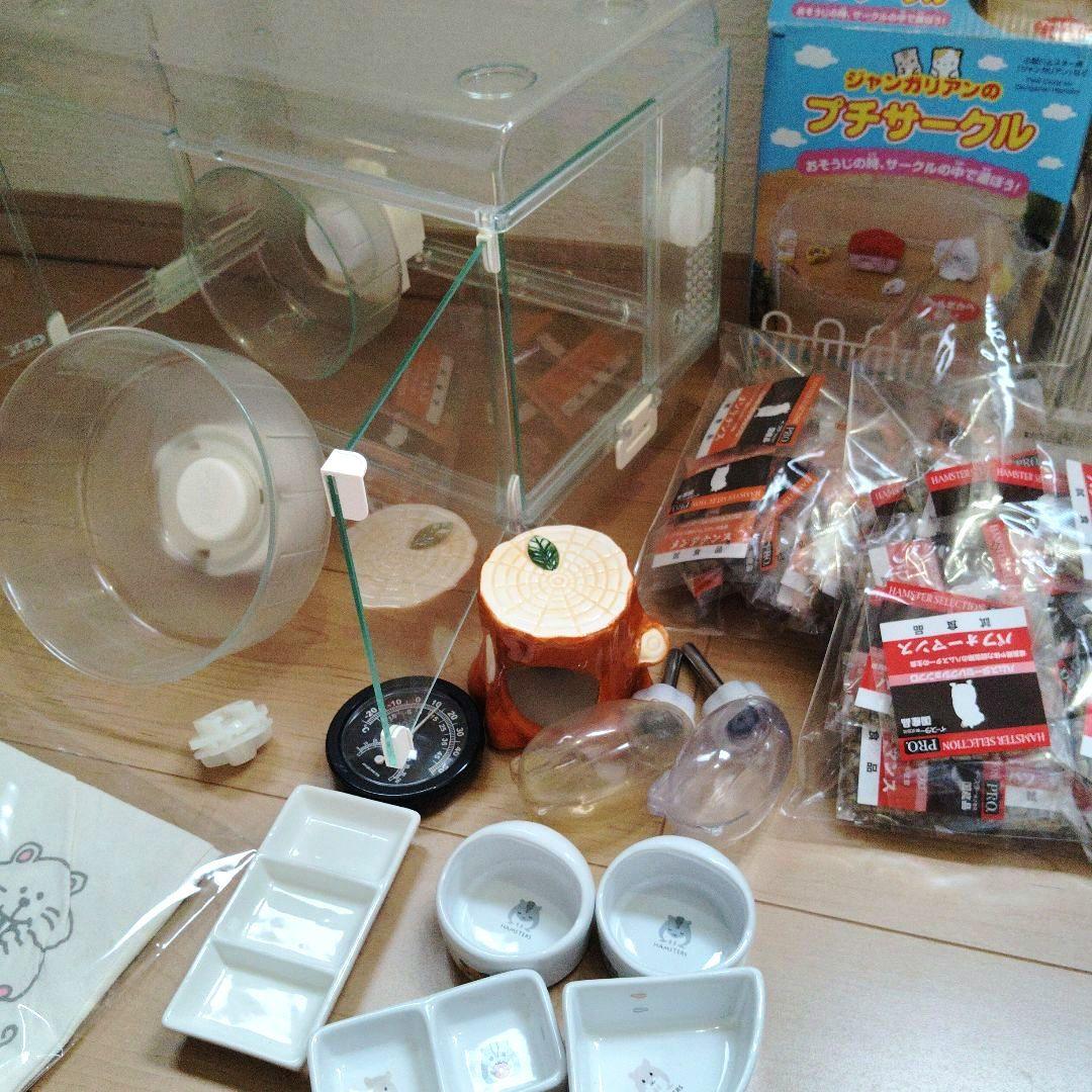 ハリネズミ ハムスター 飼育セット