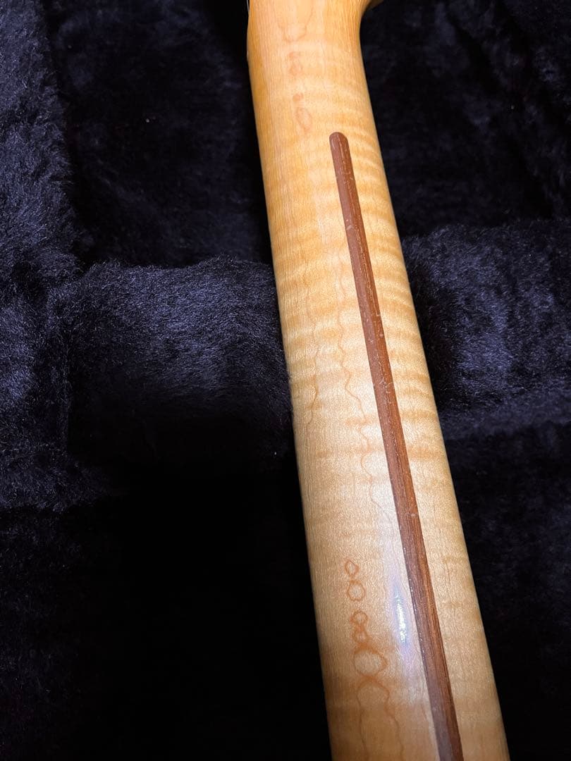 【極美】lsl instruments t-born