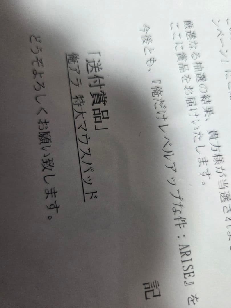 俺だけレベルアップな件：ARISE　特大マウスパッド