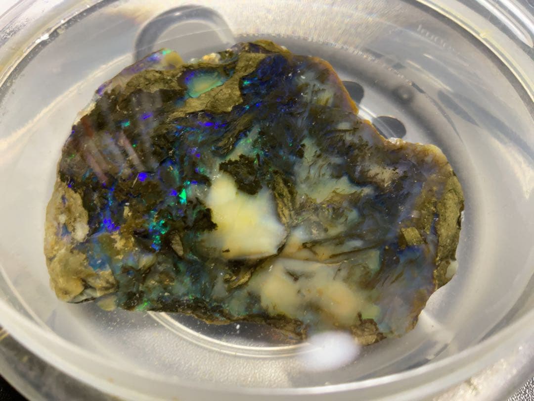 特大 【800CT】 エチオピア カーボン　オパール 原石 青　鉱物標本