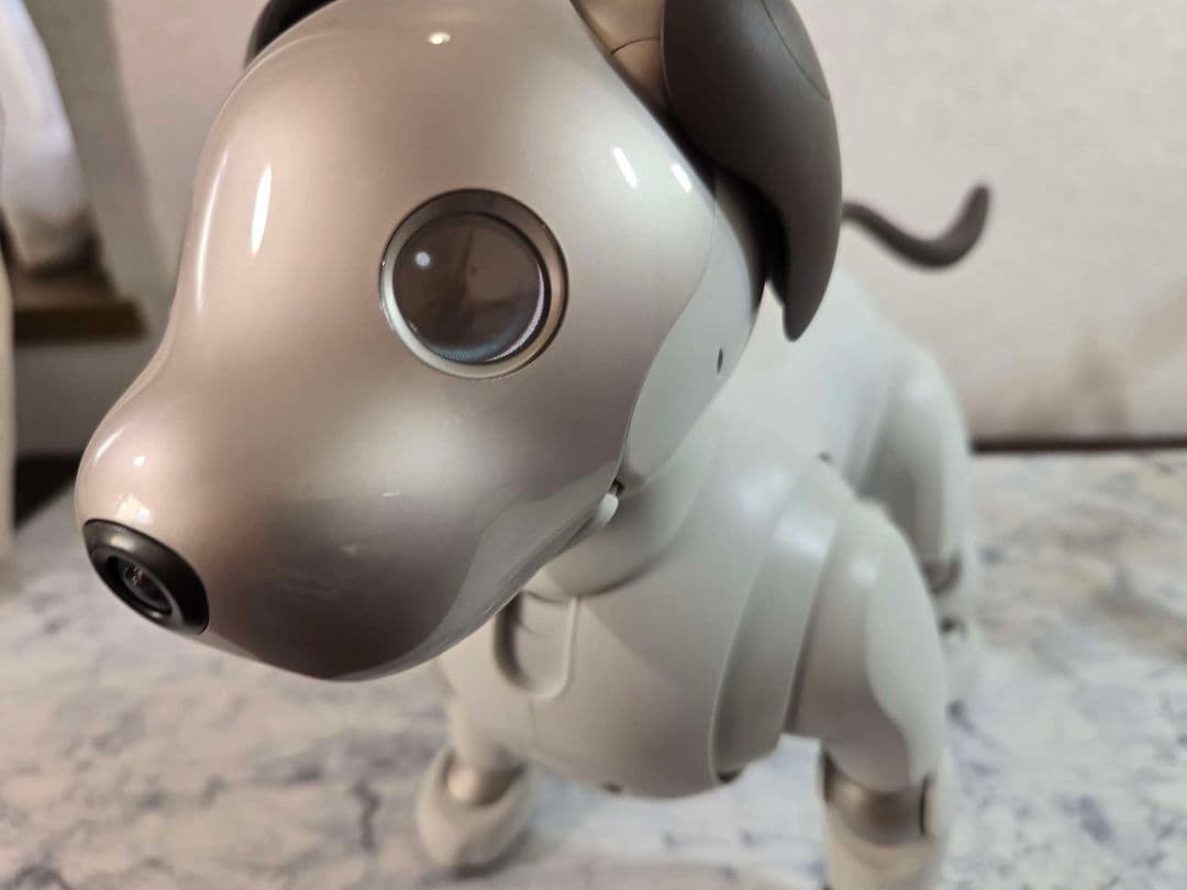 SONY　aibo ERS -1000 美品