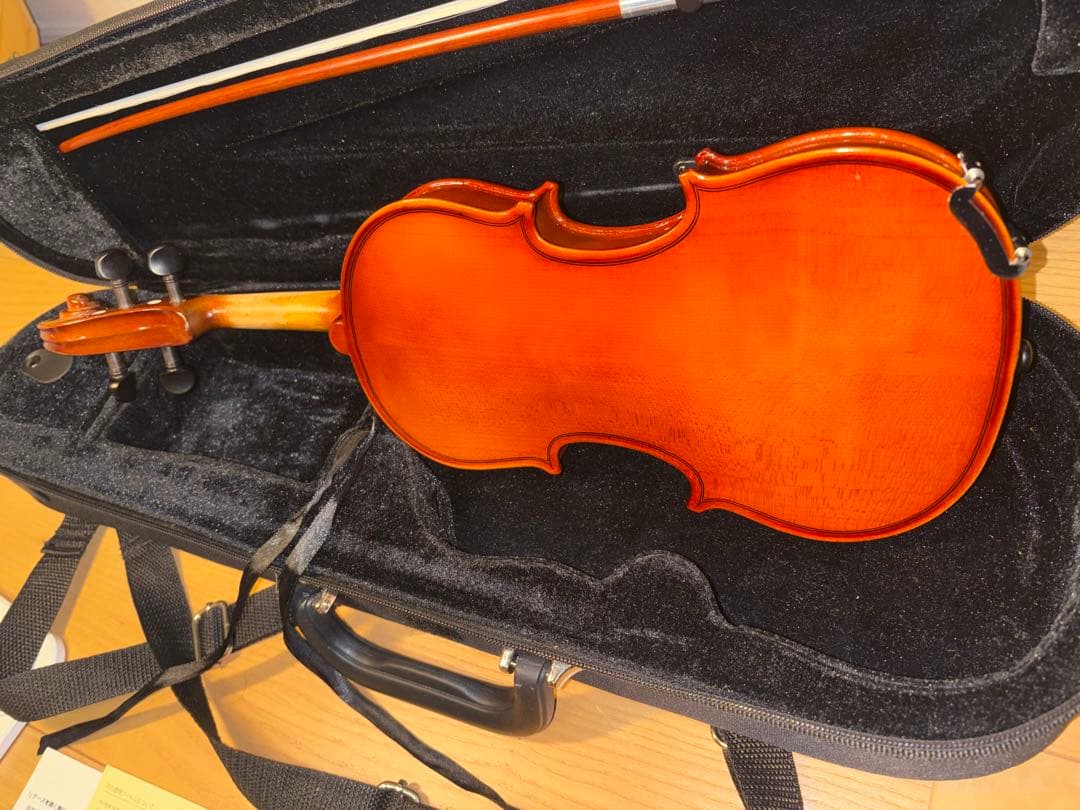 Carlo Giordano カルロジョルダーノ1/8 バイオリン VS-1