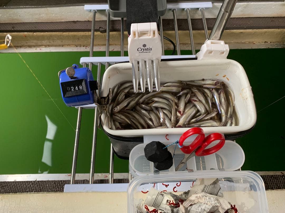 オススメ　ワカサギ　ステンレス穂先　全長約250ミリ　2本