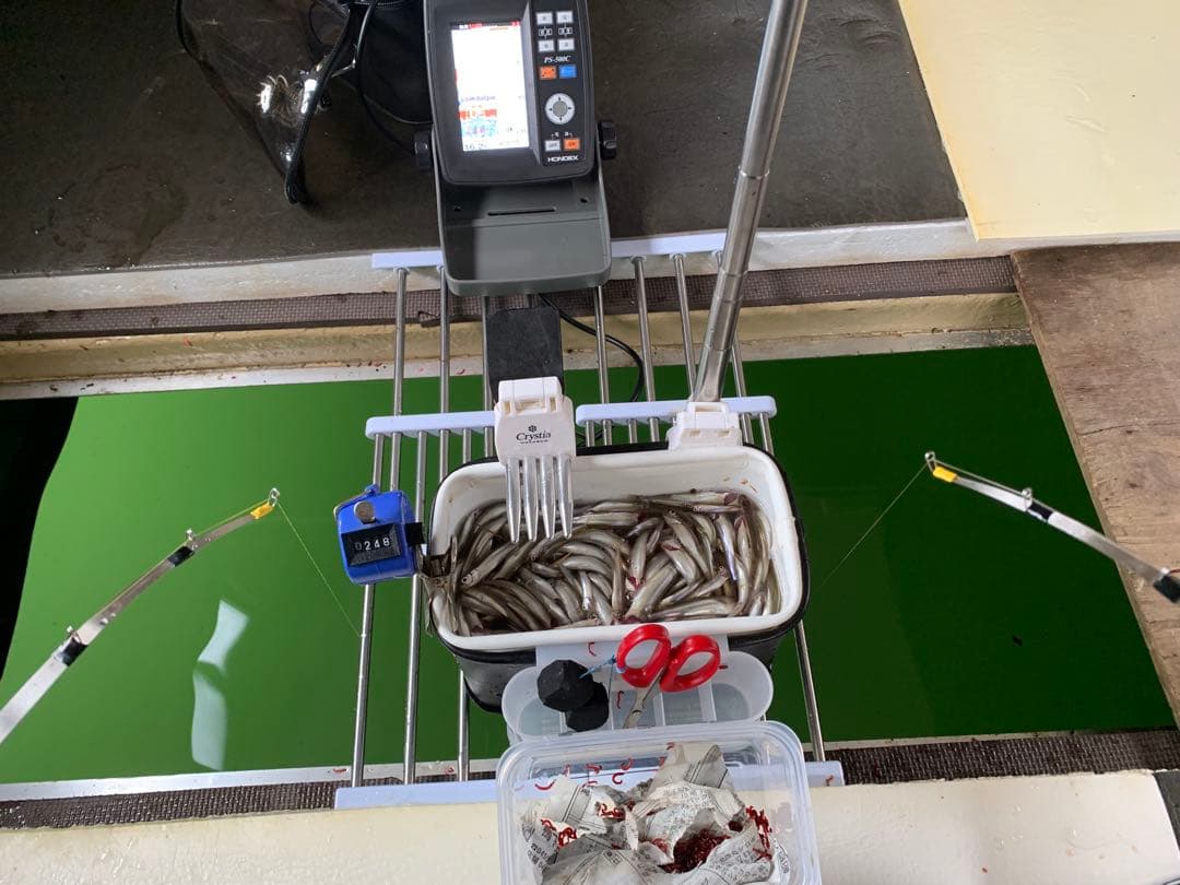 オススメ　ワカサギ　ステンレス穂先　全長約250ミリ　2本