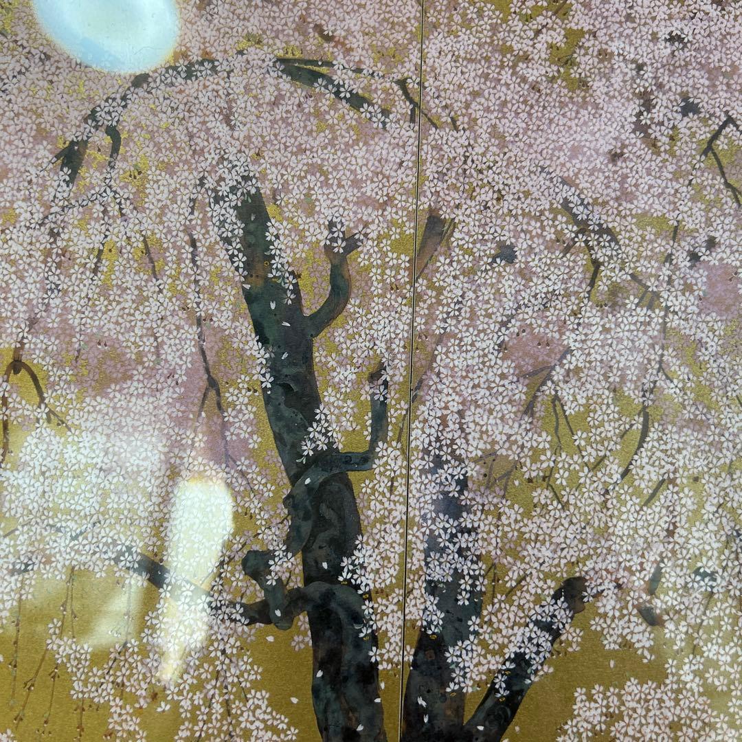 【中島千波】金色の額縁に優雅な満開の桜
