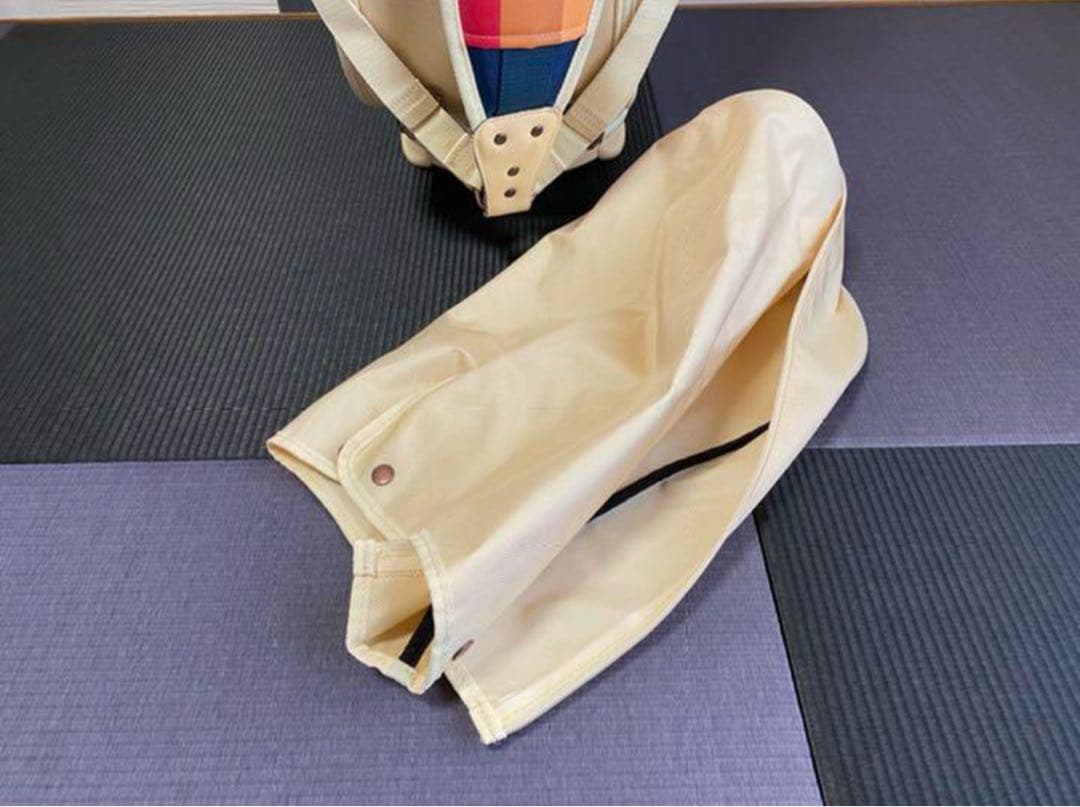 【全米プロ限定品】国内出回っていないTAYLORMADE キャディバッグ