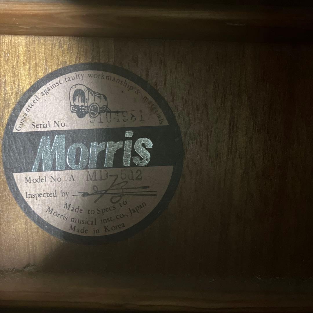 Morris アコースティックギター MD-502