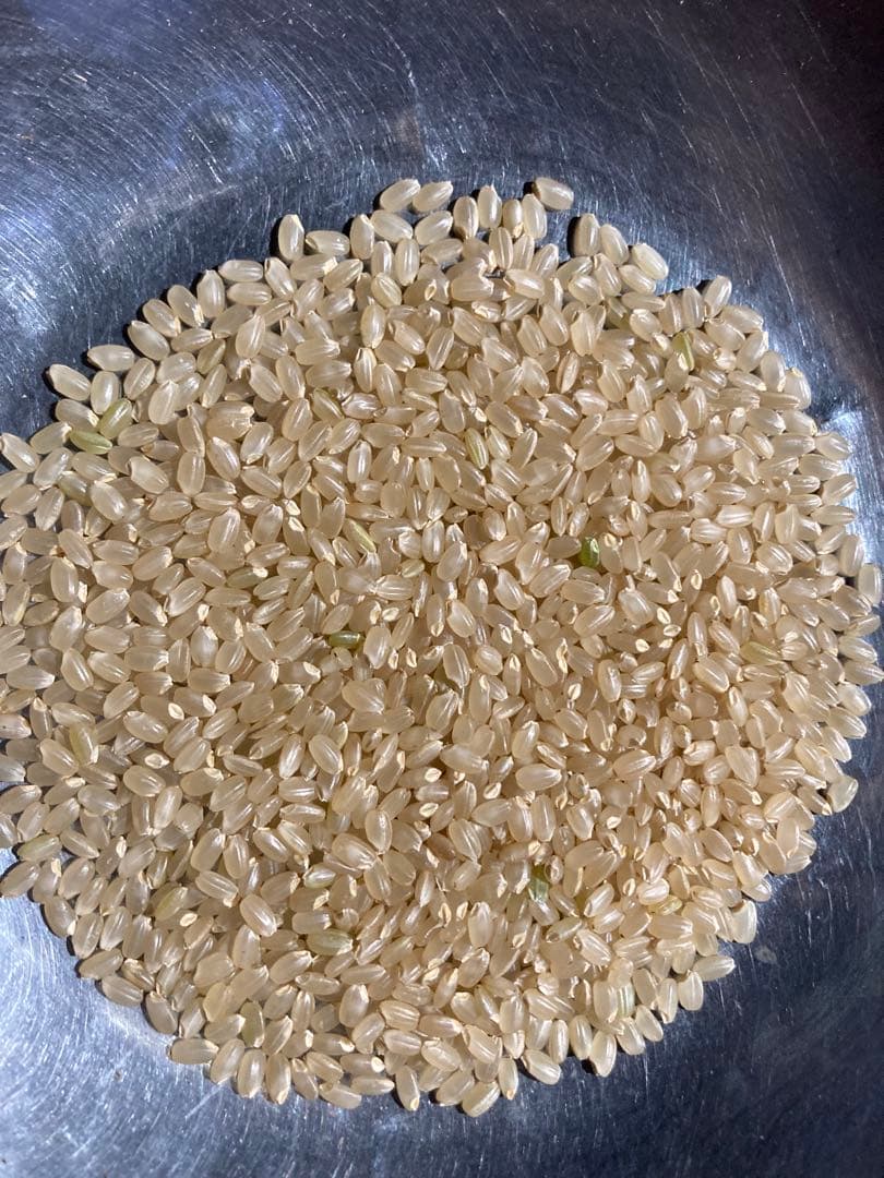 令和7年産魚沼コシヒカリ精米10kg