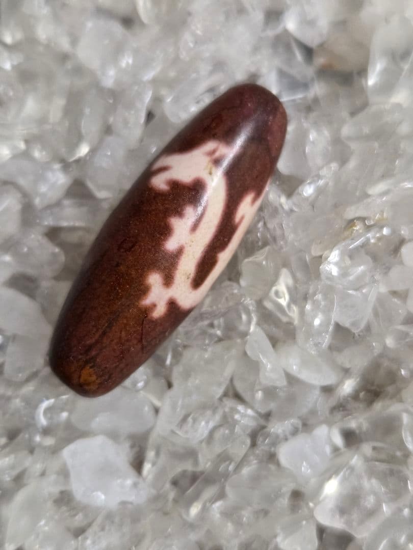 061　天珠　赤色の騎龍観音天珠　dzibeads！