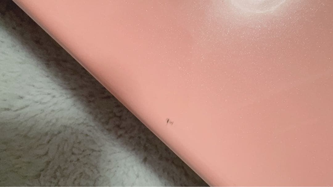 フルートケース　C.C.シャイニーケースII フルート用ケース