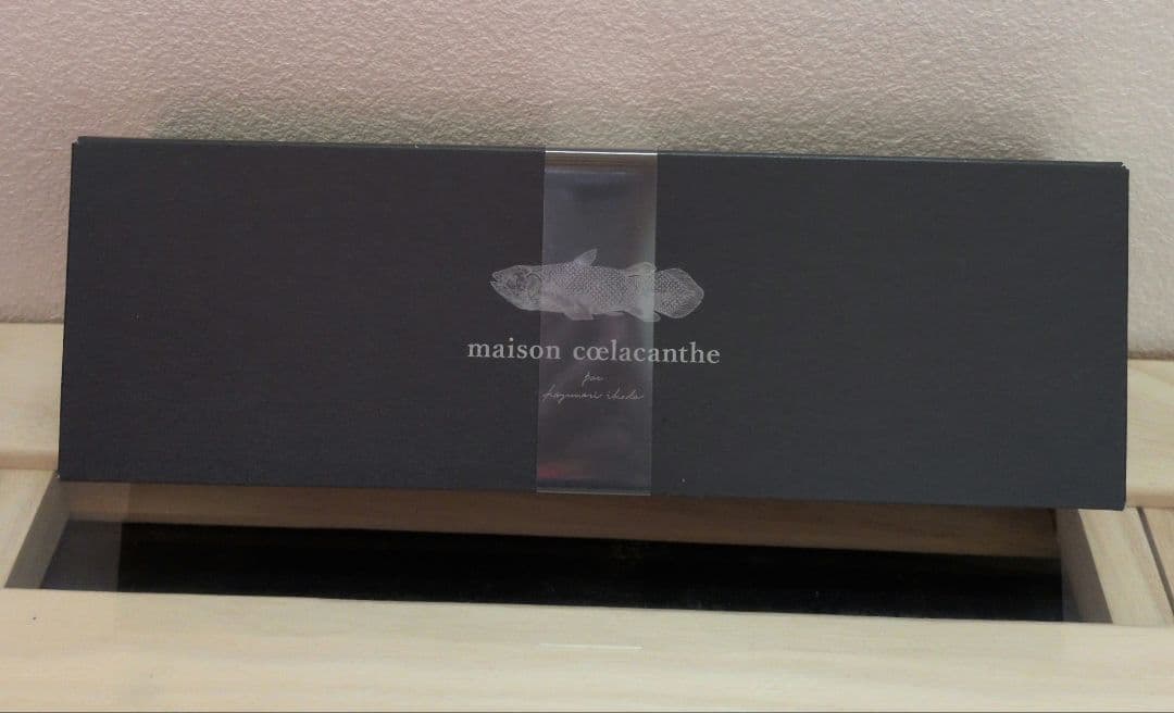 メゾンシーラカンス シーラカンスモナカ シーラカンス最中 化粧箱 計15個