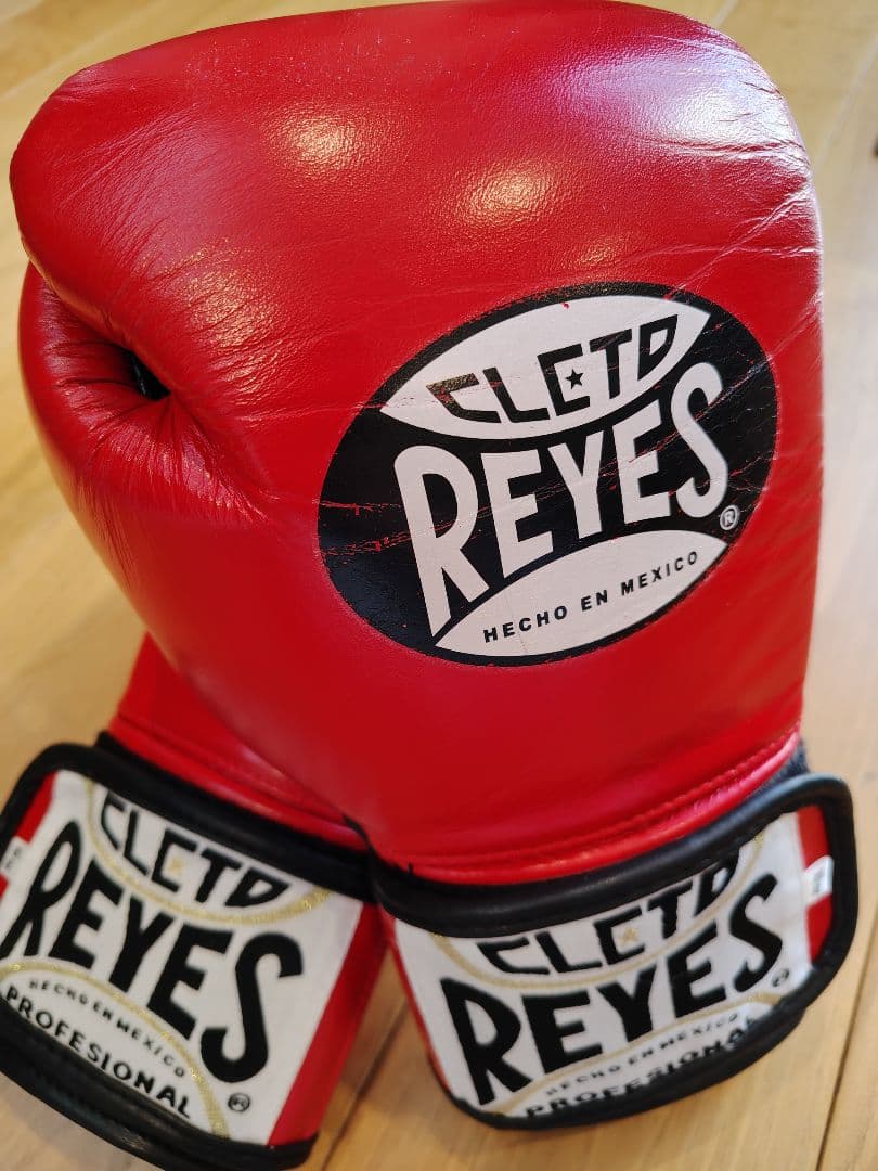 美品！レイジェス　グローブ　10オンス　レッド　赤　新品イサミ　ハーネス付き