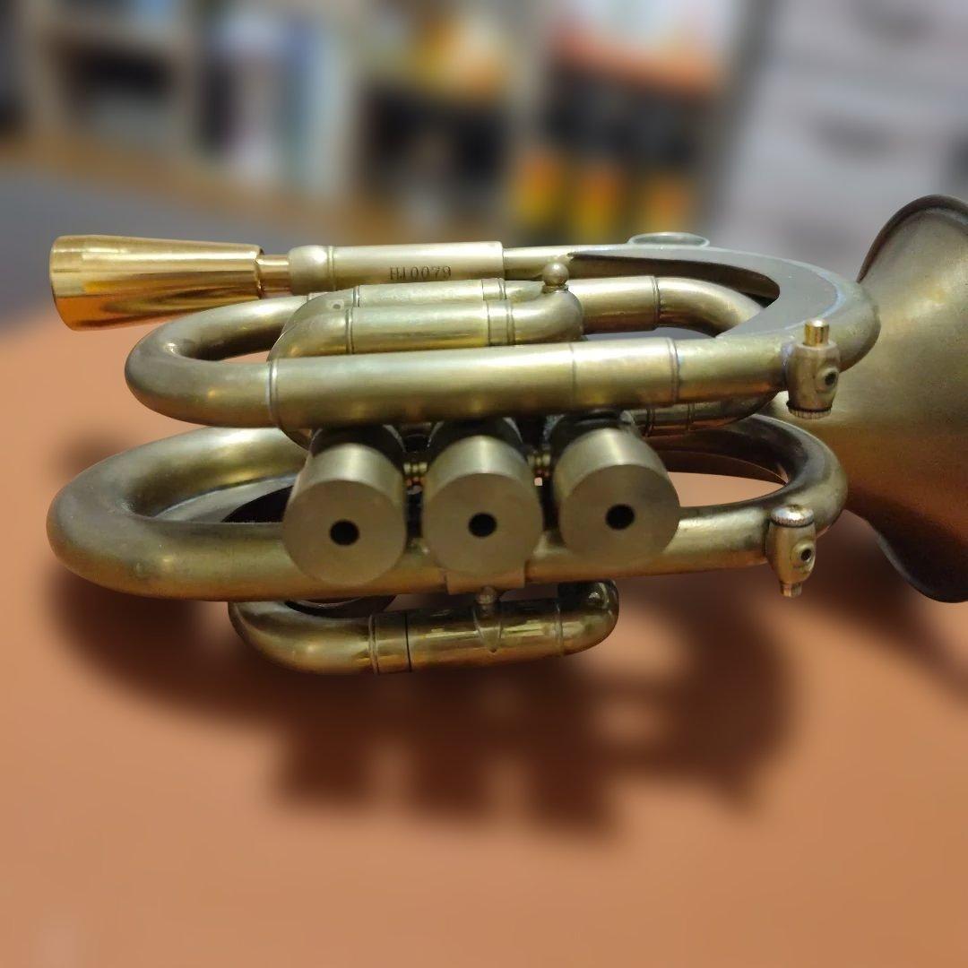 最終値下げ！モネタイプ　ヘビーウェイトポケットトランペット