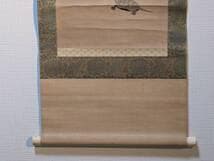 【真作】掛軸　東東洋　寿老人図　文化七年春写　亀と巻物の吉祥図　合箱入　T84