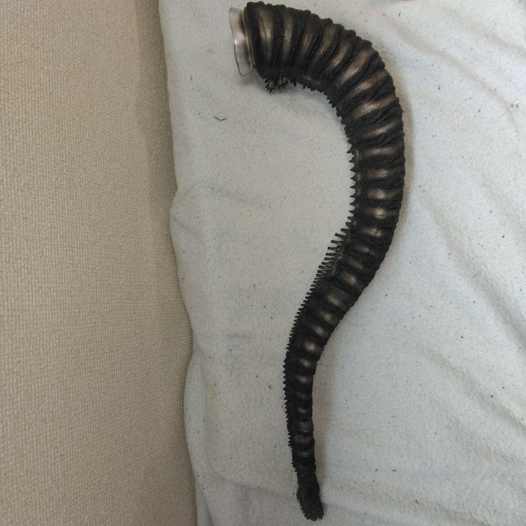 酒井ゆうじ造形コレクション ゴジラ2016 オルソ 一般流通版