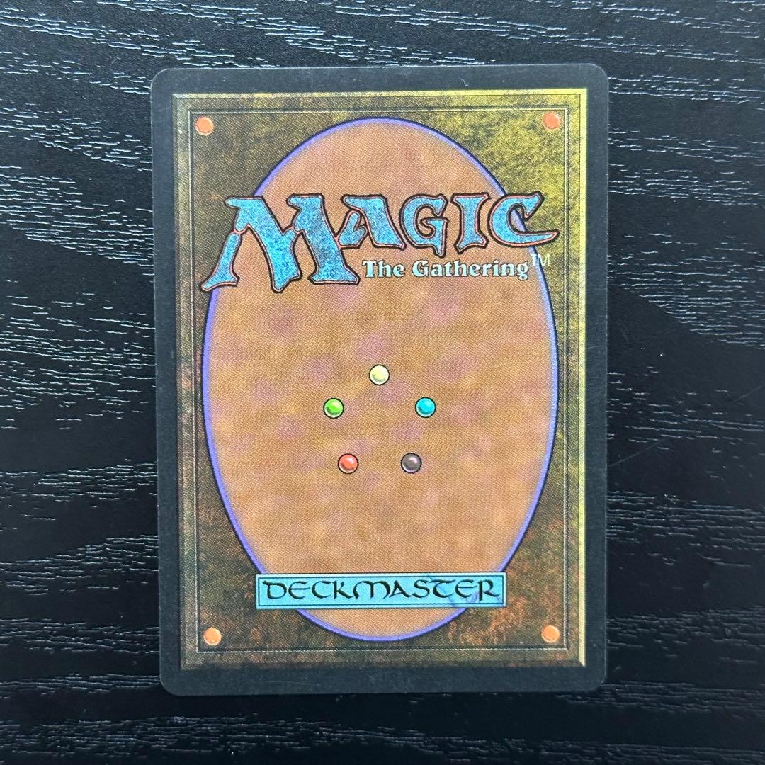 MTG セラの聖域 英語