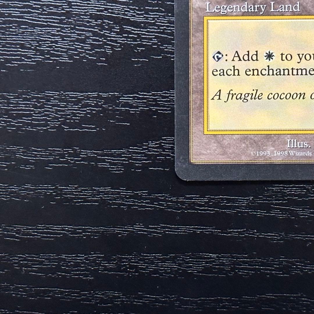 MTG セラの聖域 英語