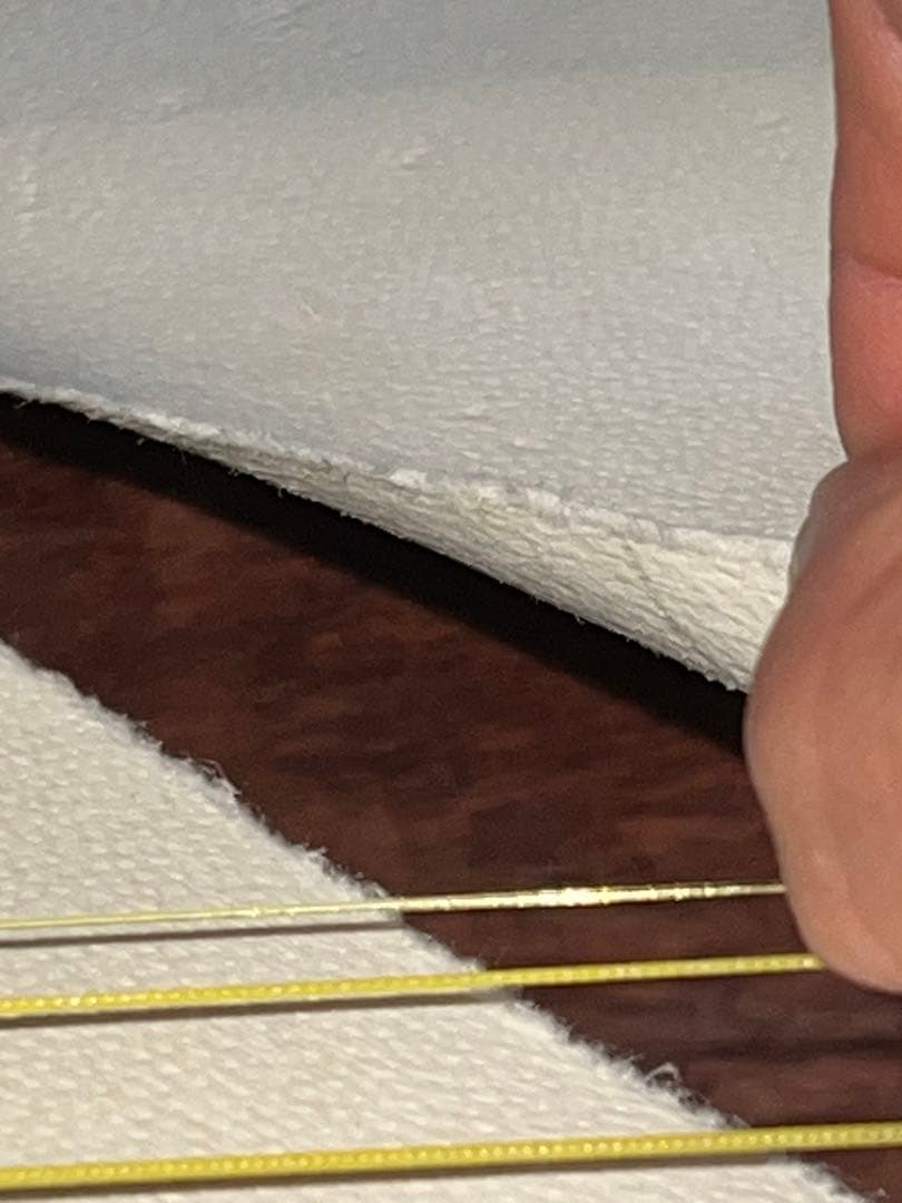 三味線本体、ハードケース、先べっ甲撥