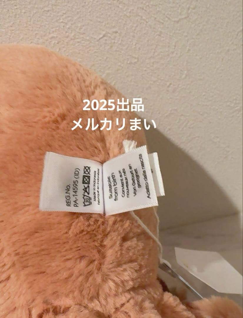  Little Odell Octopus タコ 肌色