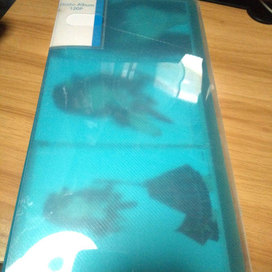 ♥すべて AKB48 川西智美さん写真 101枚セット (チェキ1枚含む)♥