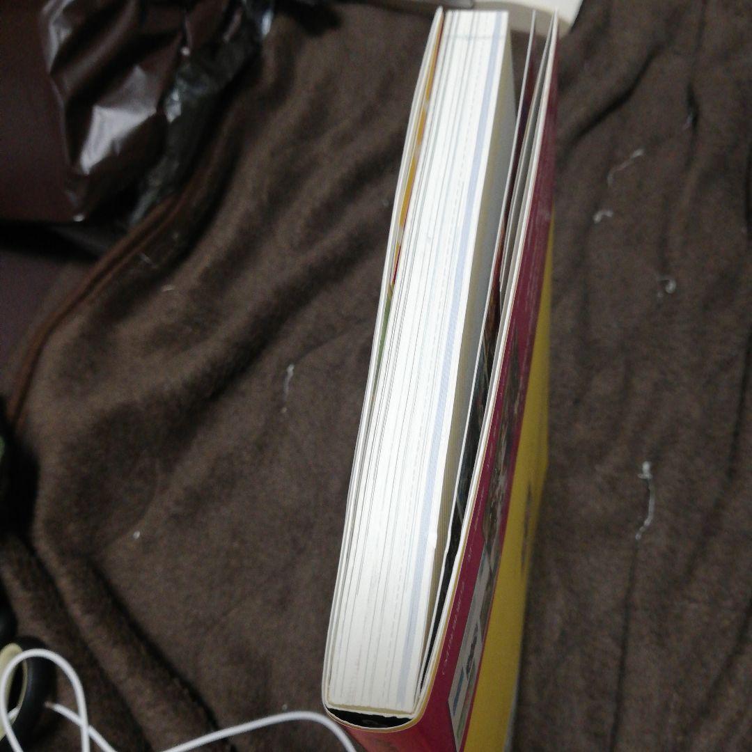 特典プロモ2種　レックウザ　おきがえピカチュウ　未開封付き イラストコレクション