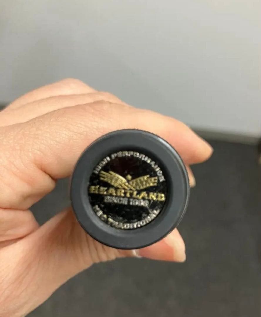 ダイワ ハートランド HL 6101MLFB-SV11 釣り竿