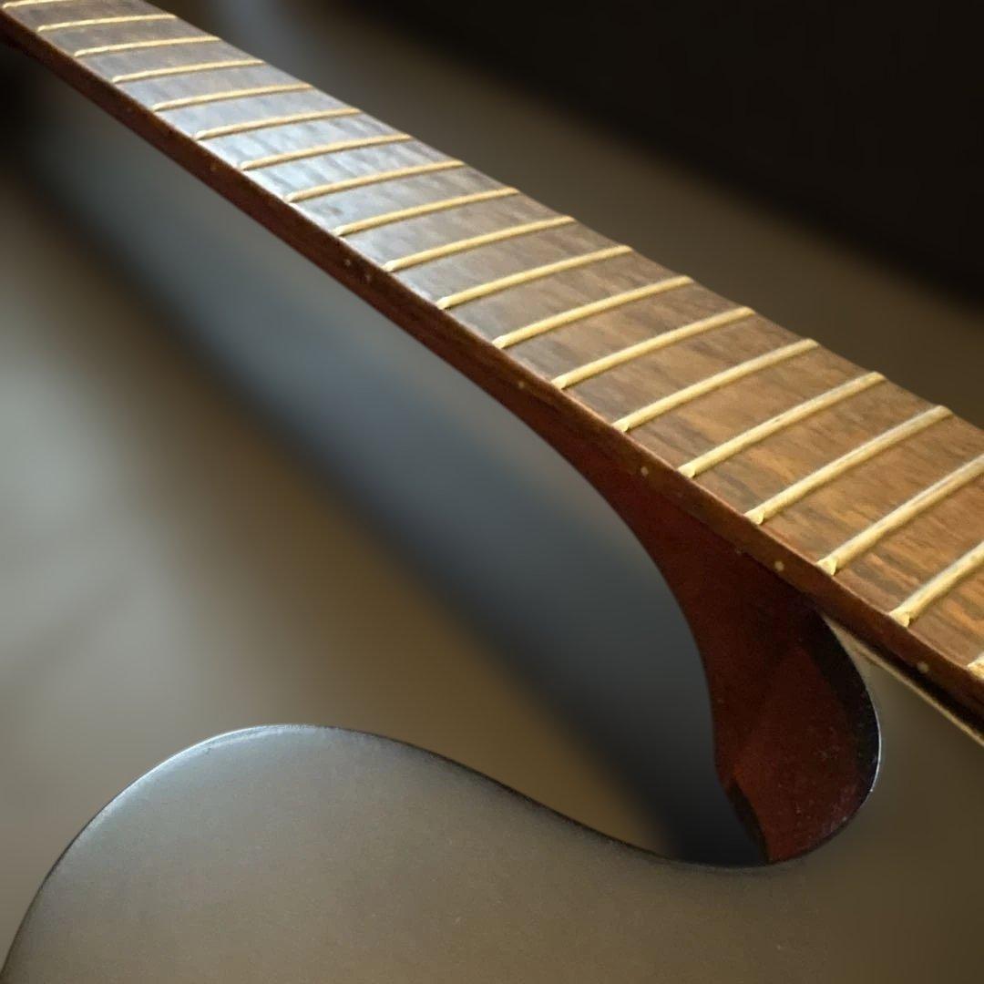 Epiphone セミアコ　dot studio マット仕上げ ギグバッグ付き