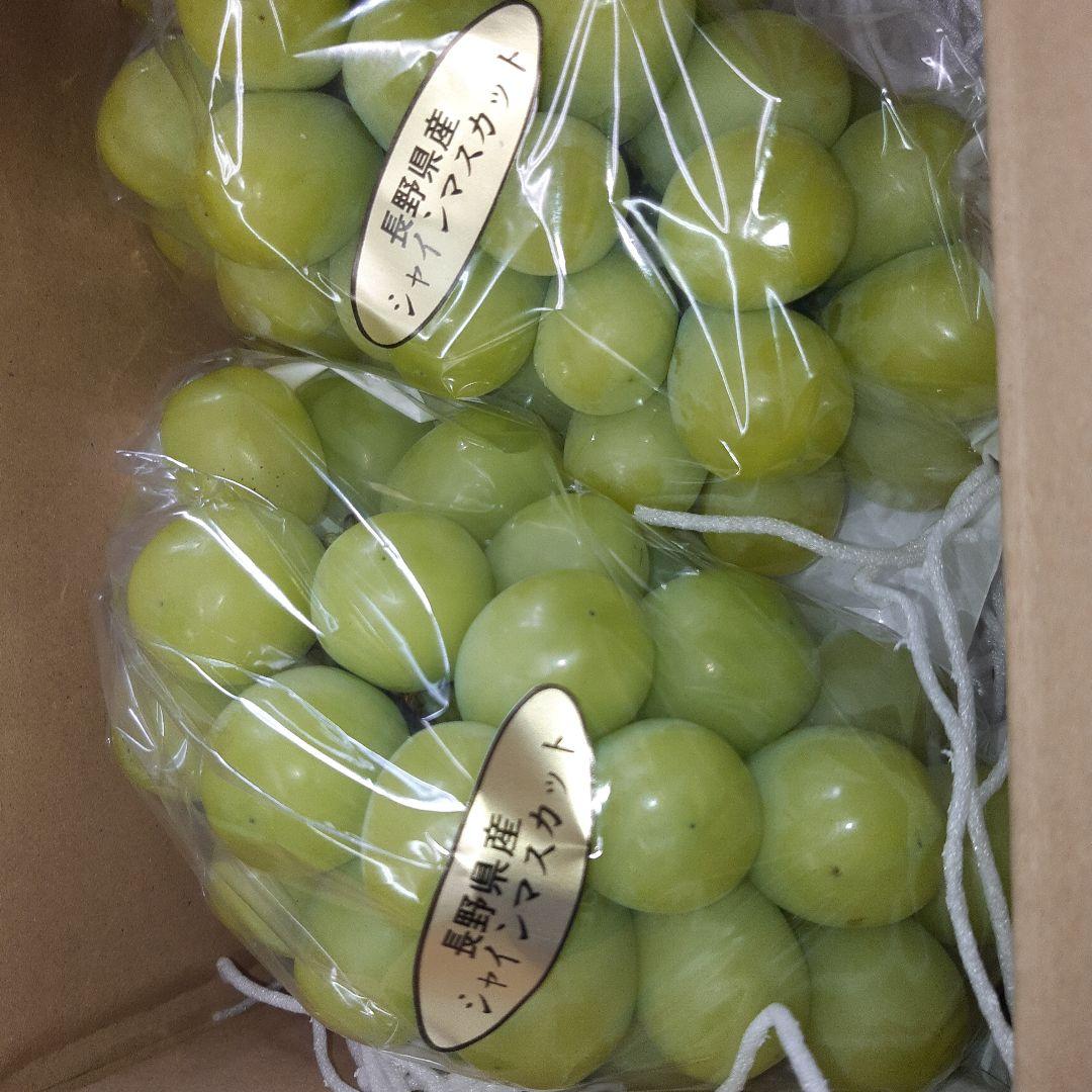 シャインマスカット徳用秀品5キロ入り