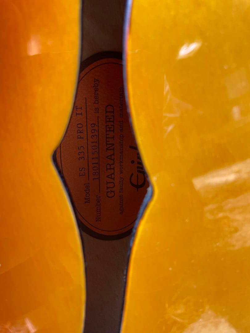 Epiphone ES335 PRO IT 2018 コイルタップ ハードケース