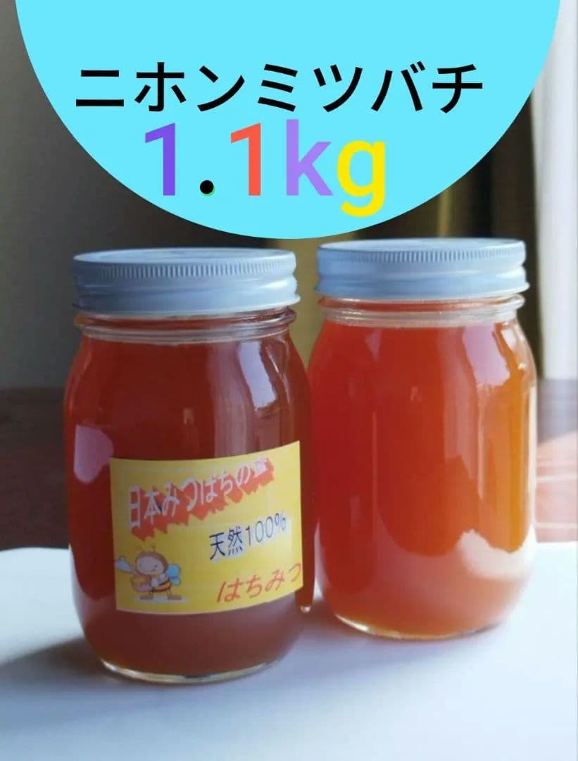 国産はちみつ。ニホンミツバチ。合計1.1kg