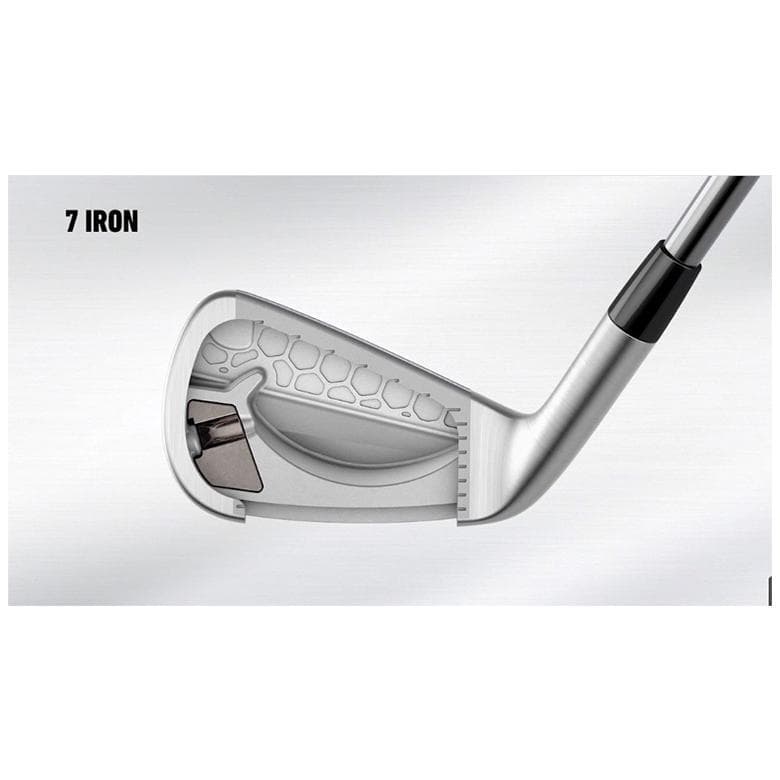 テーラメイドP790 （23）5本セット　 Dynamic Gold EX