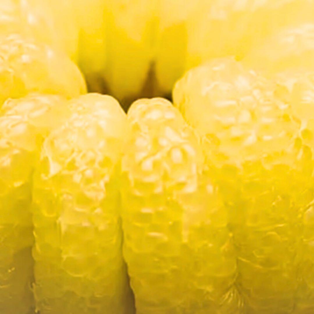 文旦　水晶文旦　みかん　好きに　　37