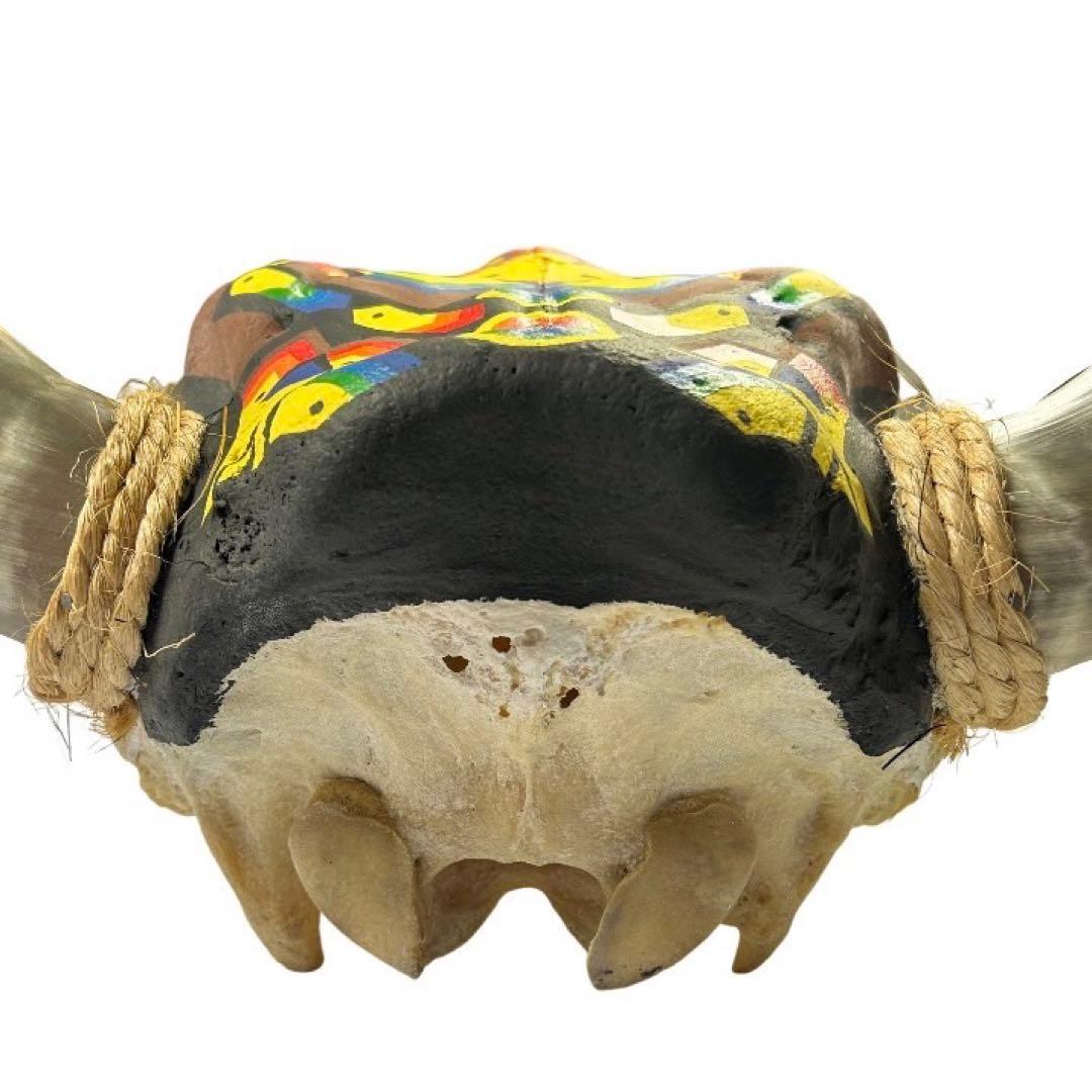 リアルカウスカルヘッド オブジェ 壁掛け 特注ペイント メキシコ