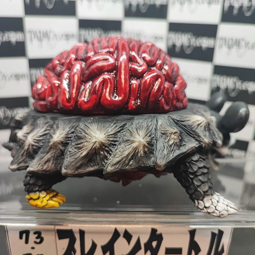 73.74ブレインタートルセット