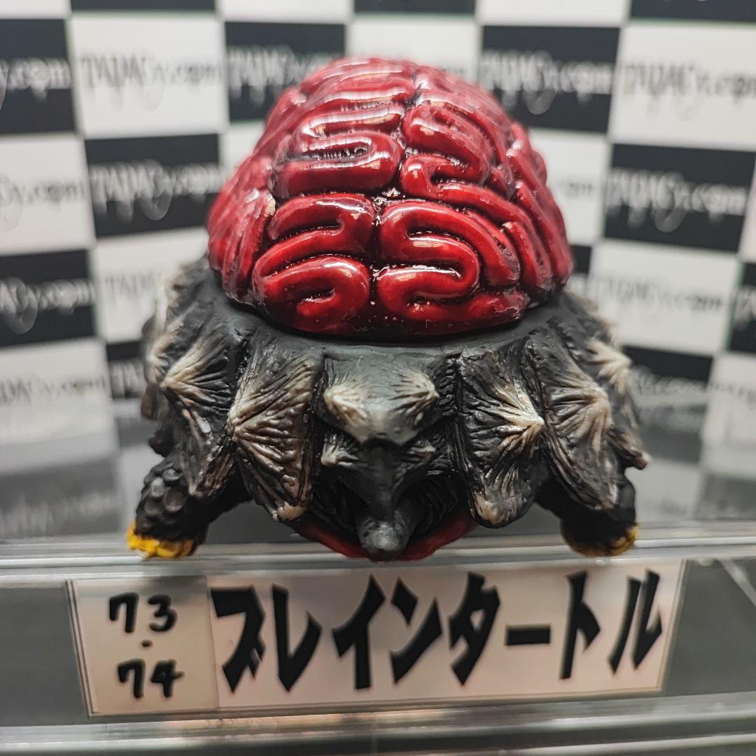 73.74ブレインタートルセット