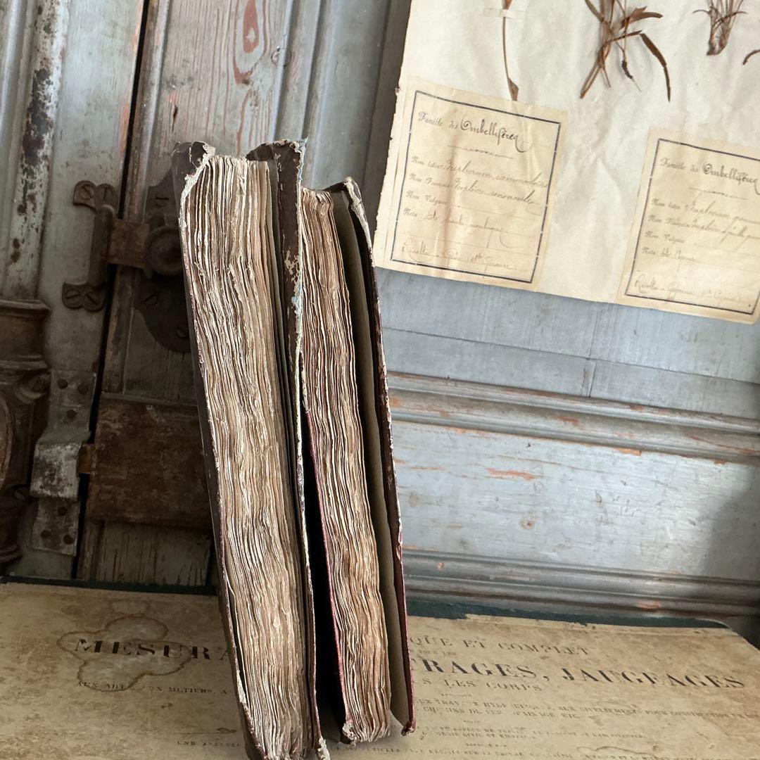 １９世紀　フランスアンティーク　２冊　ラベルだけの本　古書　ブロカント　古紙