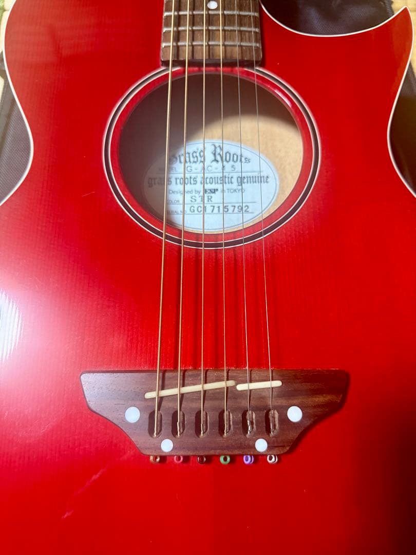 GRASS ROOTS G-AC-45 ケース付コンパクトアコースティックギター