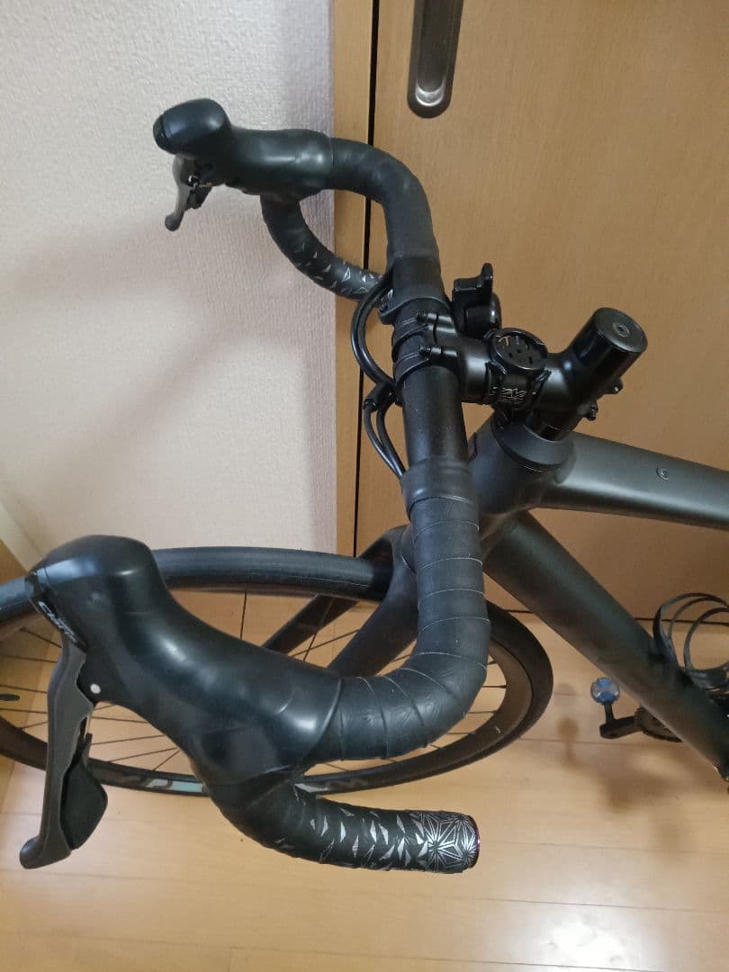 mei✳️　trek domane al2gen4 2024 中古美品