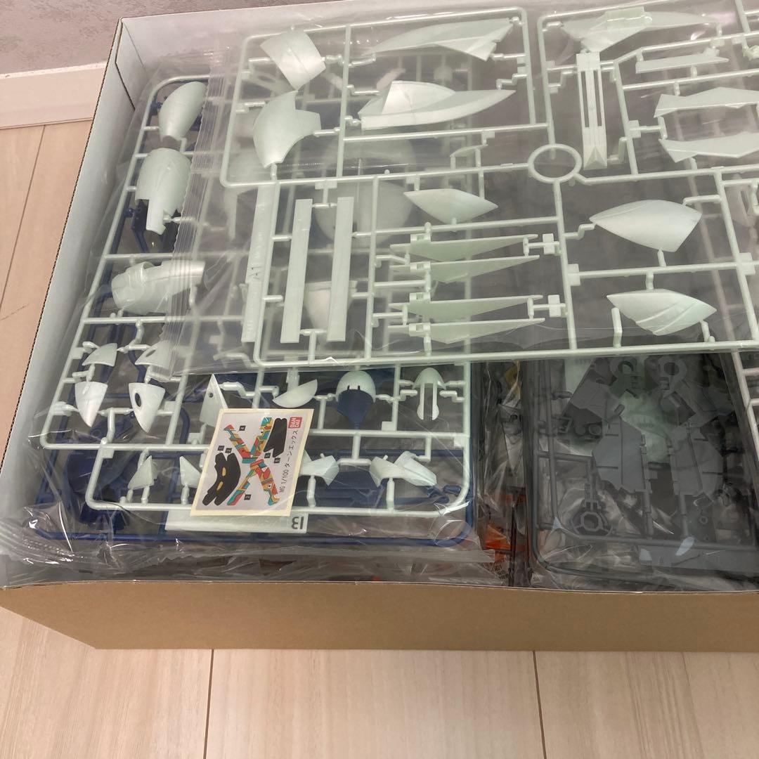 MG ターンエーガンダム/ターンX ナノスキンイメージ