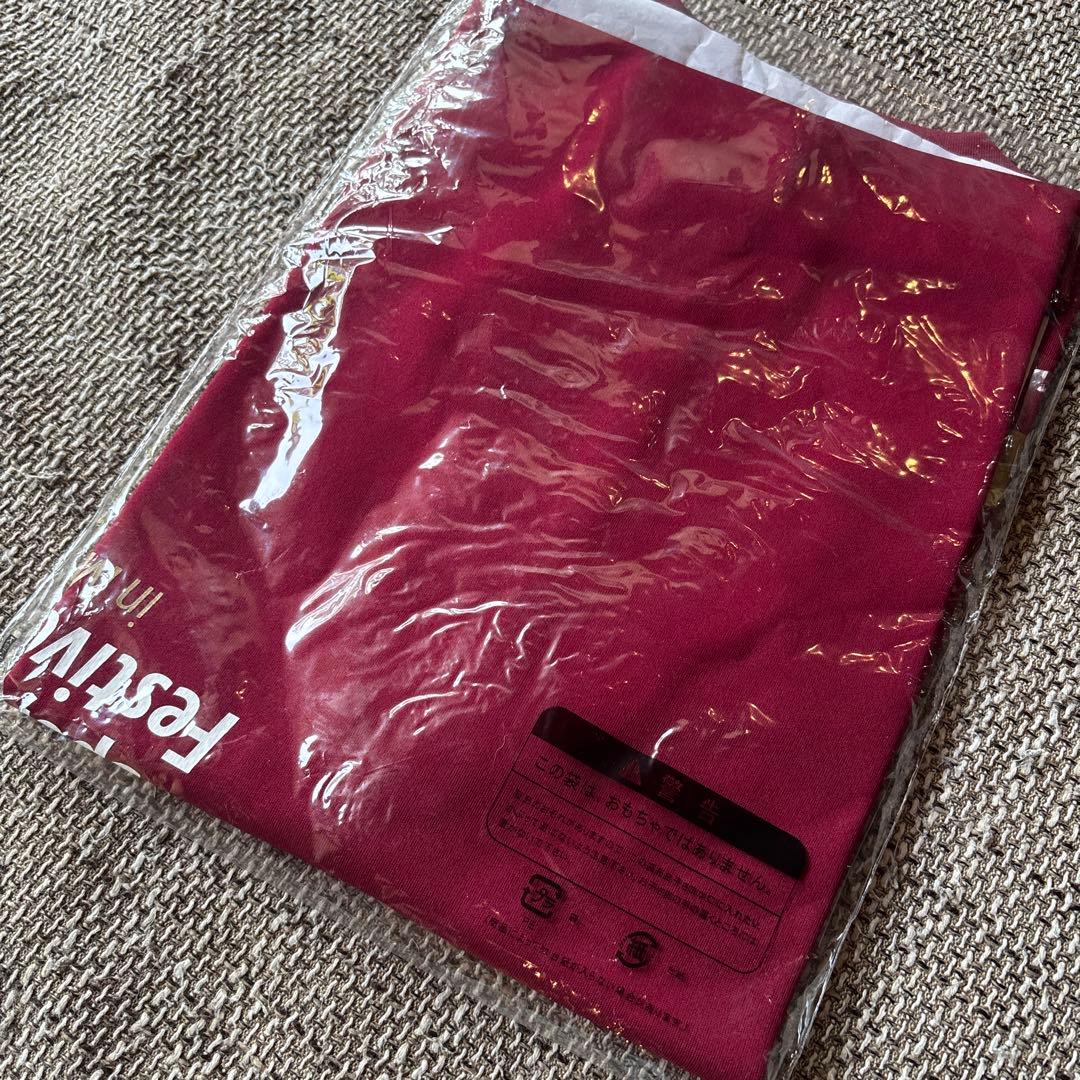 DESCENTE DX-B1410 L ワインレッド Tシャツ国体オールジャパン