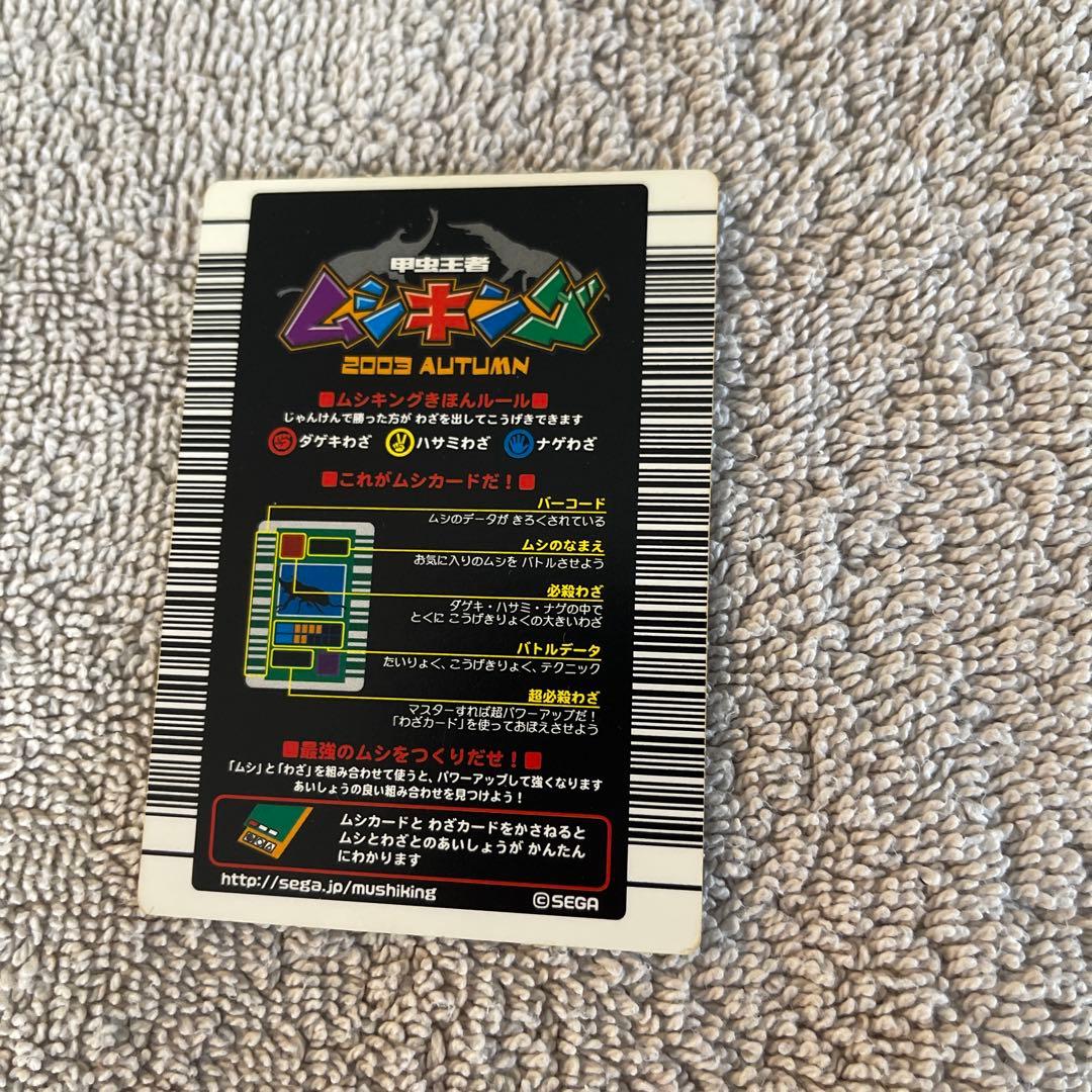 キラファノコギリクワガタ